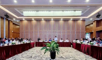 to chuc fao tim hieu mo hinh phat trien san pham ocop tai ninh binh