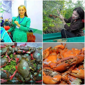 day manh truyen thong quang ba su kien ngay hoi cua ca mau lan thu ii nam 2025