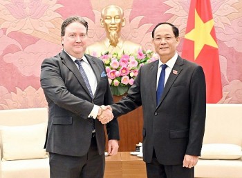 tang cuong quan he doi tac chien luoc toan dien viet nam hoa ky