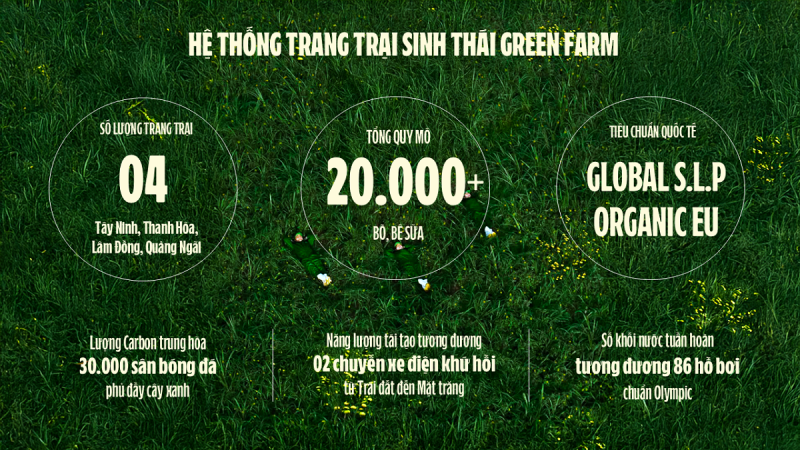    (hình 11: chọn 1 trong 2) Ảnh: Vi Nam