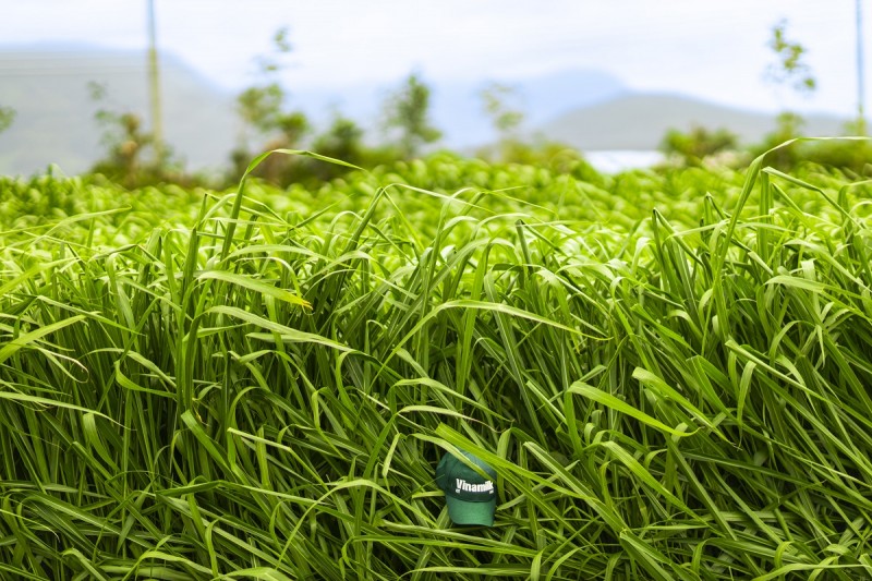 Ảnh: Quang Định