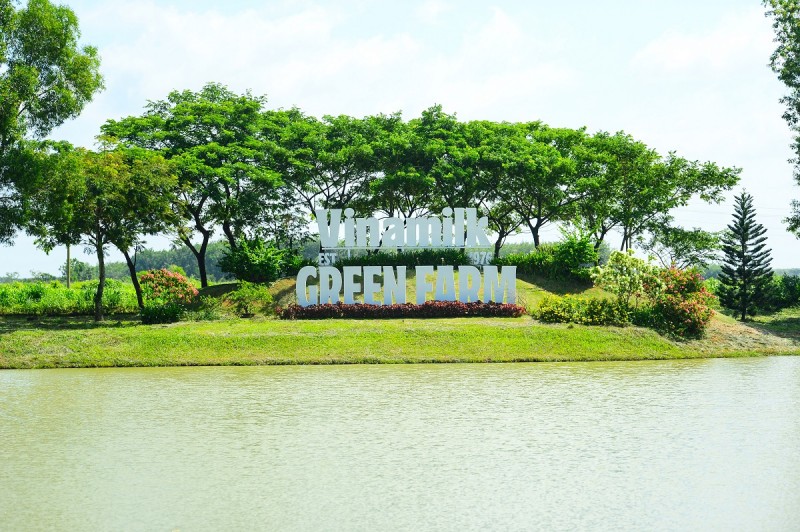 (hình 8) Ảnh: Quang Định