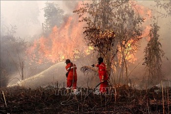 Tin quốc tế ngày 27/7: Thái Lan - Campuchia tiếp tục giao tranh tại biên giới, Indonesia dùng mưa nhân tạo dập cháy rừng