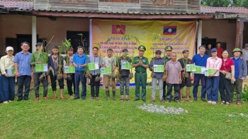 quang tri trao hon 3000 cay tre giong cho dan ban vung bien gioi viet lao