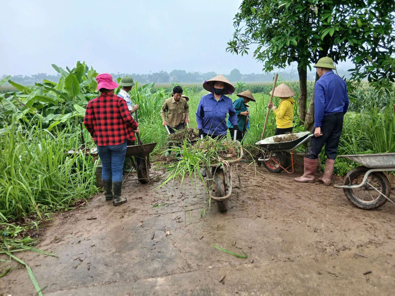 Hoạt động lao động đổi công tạo thu nhập tại tỉnh Yên Bái (cũ), nay là tỉnh Lào Cai. (Ảnh: Oxfam)