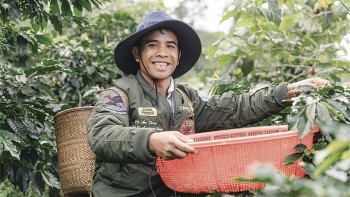 nong ho can chuyen doi de duy tri vi the ca phe viet tai thi truong chau au