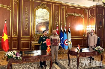 Ai Cập mong muốn tăng cường hợp tác quốc phòng với Việt Nam