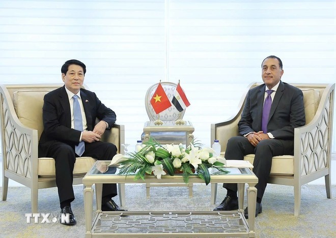 Chủ tịch nước Lương Cường hội kiến Thủ tướng Ai Cập Mostafa Madbouly. (Ảnh: Lâm Khánh/TTXVN)