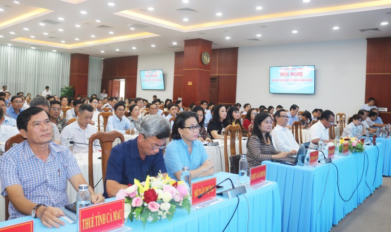 Thúc đẩy chuyển đổi số trong cộng đồng doanh nghiệp Cà Mau