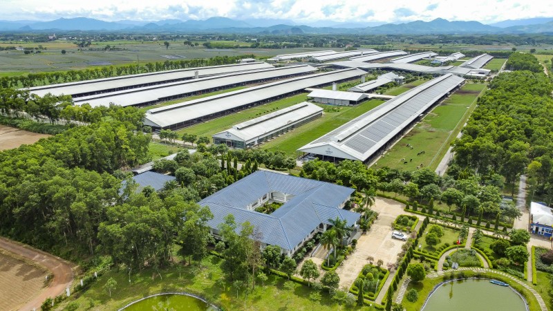 Ảnh 2A hoặc Ảnh 2B: Hệ thống 15 trang trại đạt chuẩn Organic châu Âu và Global S.L.P là nền tảng giúp Vinamilk chủ động nguồn nguyên liệu chất lượng cao (Ảnh: Minh Anh).