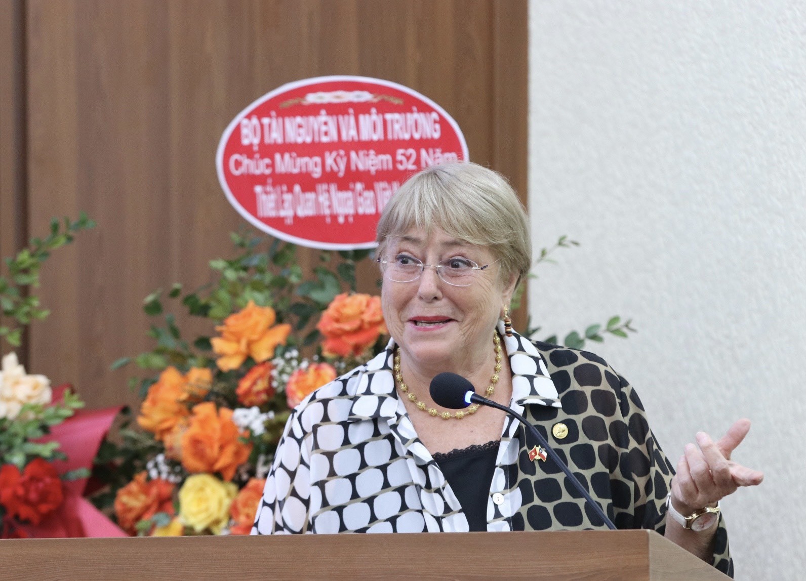 Người bạn Michelle Bachelet và khúc ca hữu nghị Việt Nam - Chile
