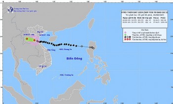 Bão số 5 (Kajiki) suy yếu thành áp thấp nhiệt đới, tiếp tục gây mưa to
