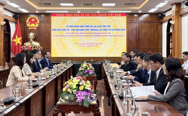 KOVECA: mong muốn kết nối và mở đường bay trực tiếp giữa Quy Nhơn và Hàn Quốc