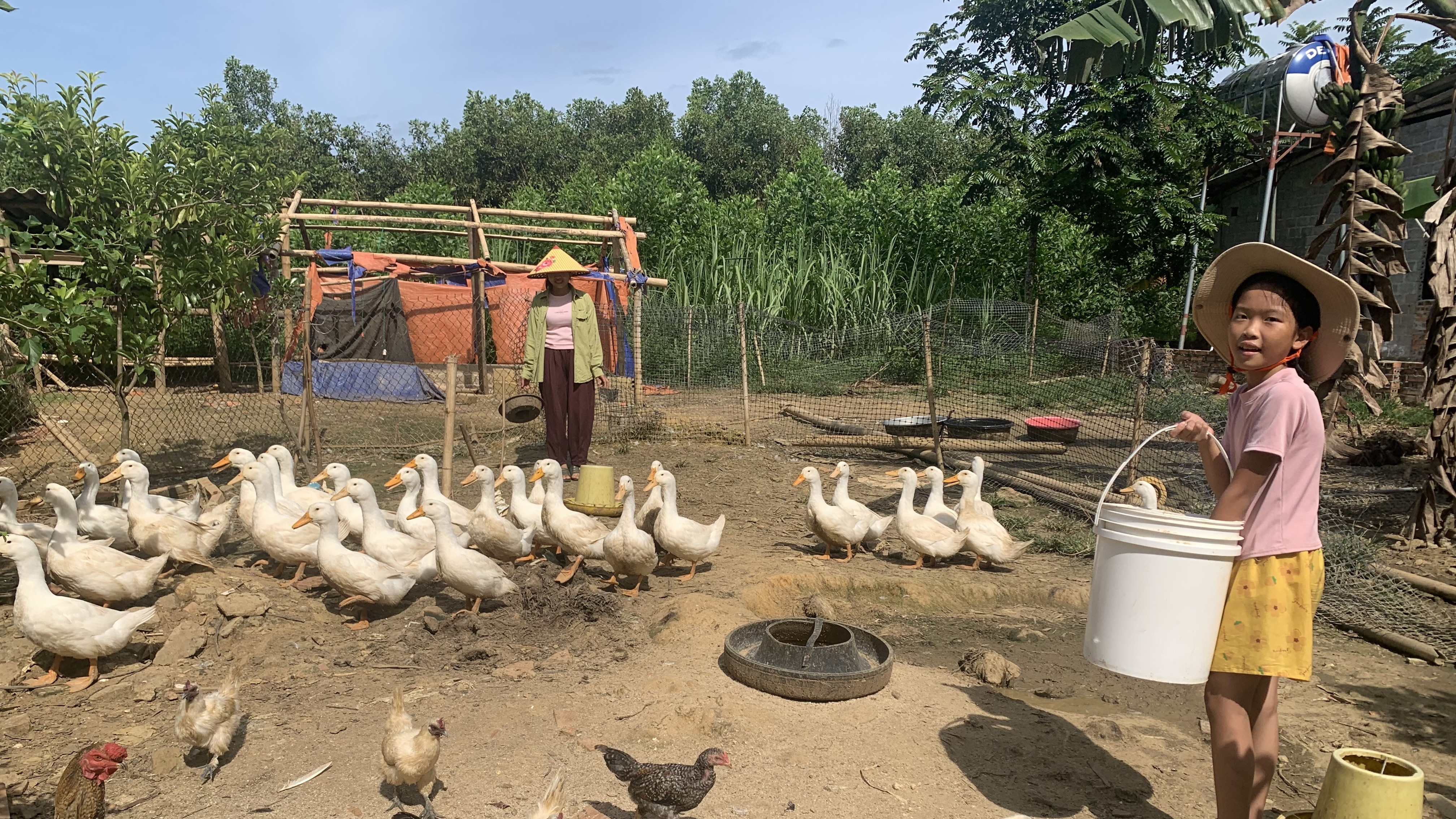 Hợp tác World Vision - Mavin: Giúp người dân đổi đời từ đàn vịt