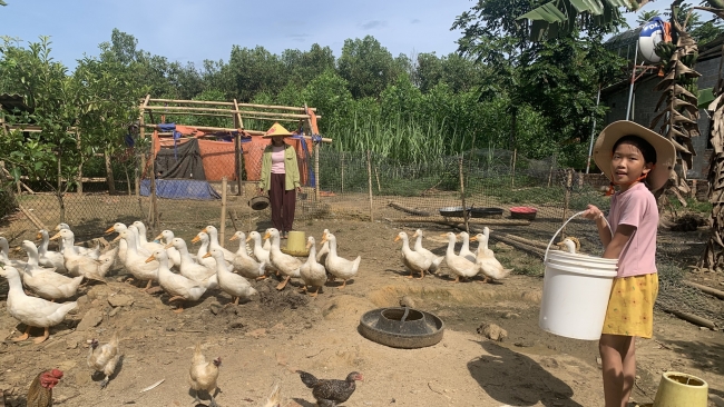 Hợp tác World Vision - Mavin: Giúp người dân đổi đời từ đàn vịt