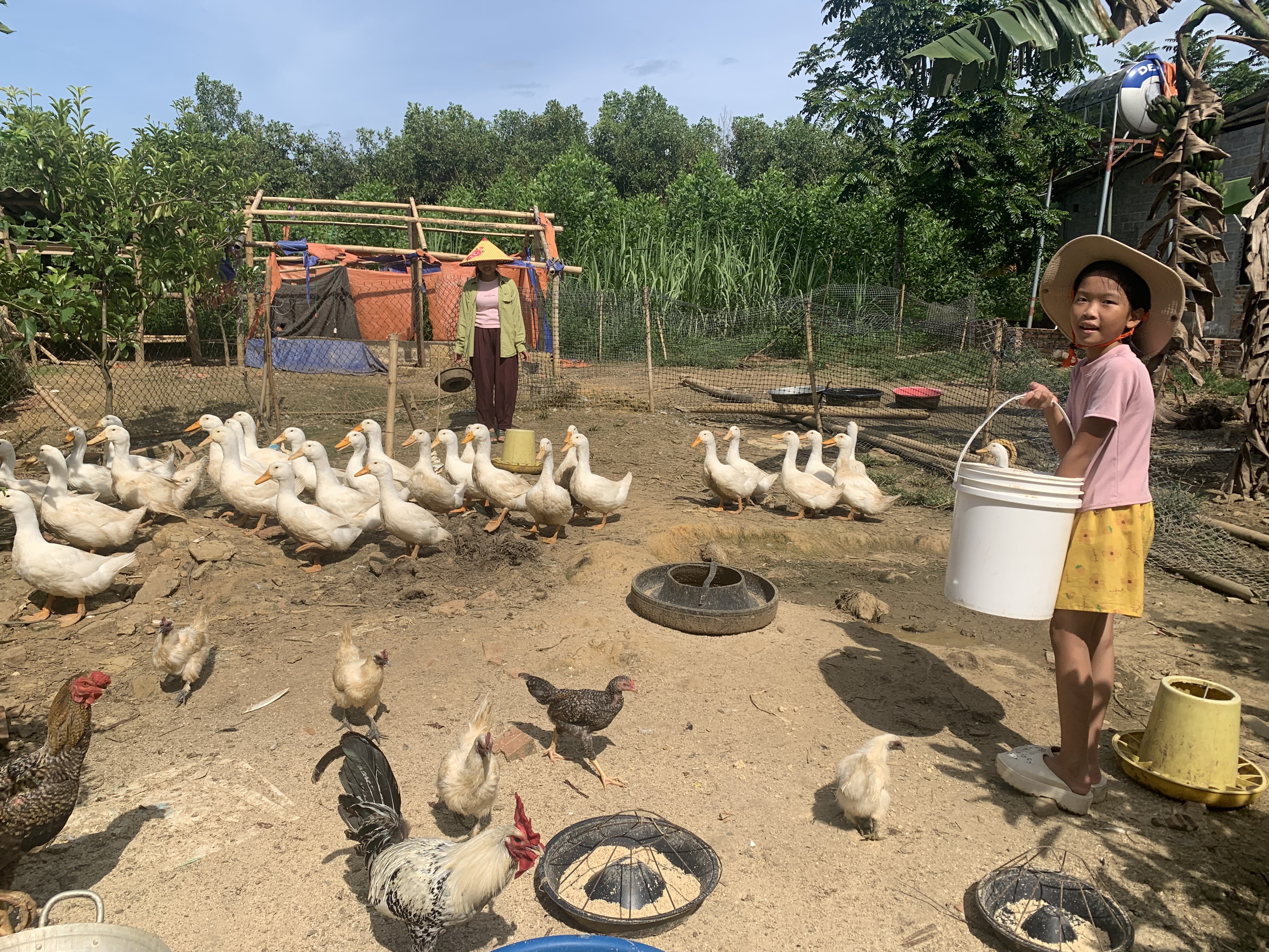 Hợp tác World Vision - Mavin: Giúp người dân đổi đời từ đàn vịt