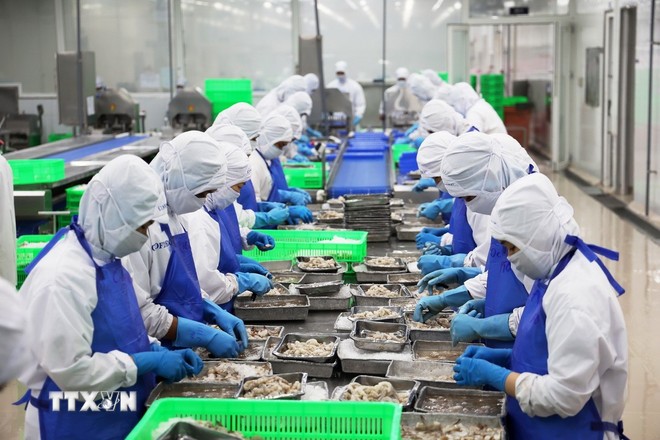 Thủy sản Việt Nam vượt sóng xuất khẩu khi liên tục đối mặt các rào cản kỹ thuật