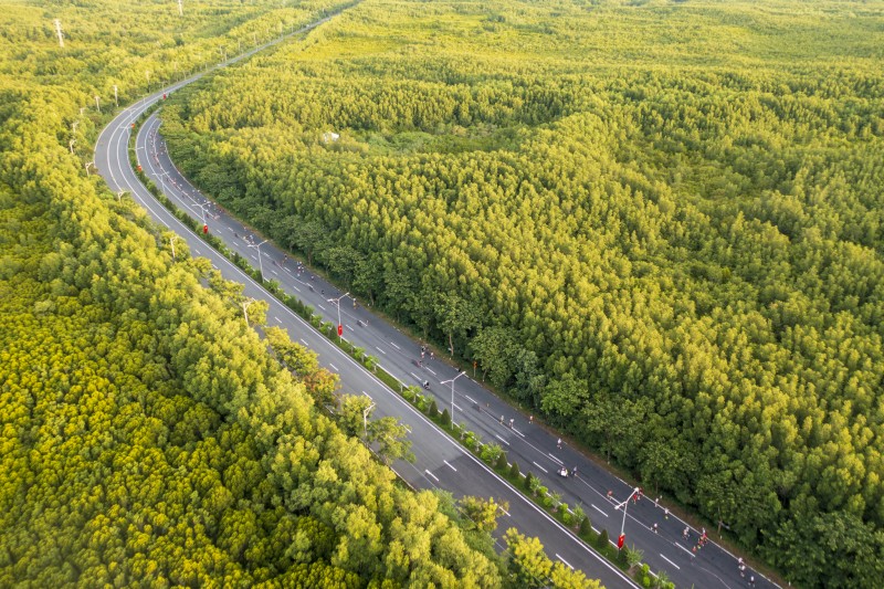 HDBank Green Marathon 2025 - Điểm hẹn của những bước chân xanh và nhịp sống số