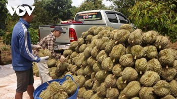 Kinh tế Việt Nam: Tăng trưởng ấn tượng, lạm phát trong tầm kiểm soát