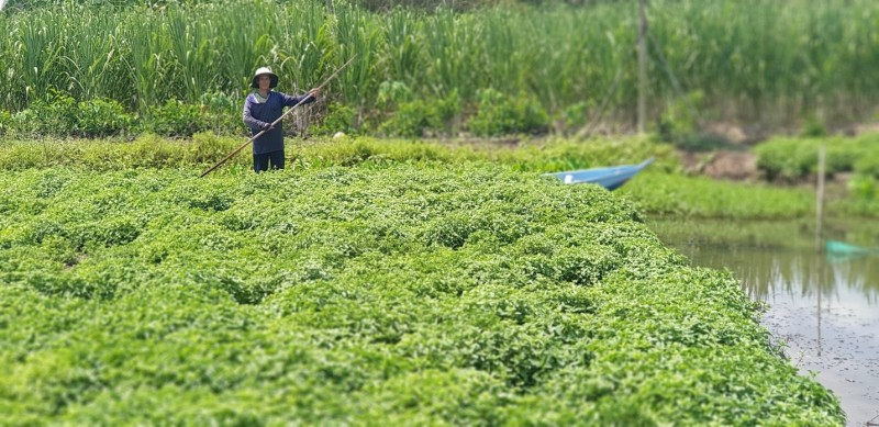 Từ khởi đầu thử thách đến 17 năm bứt phá: Trà Thanh Nhiệt Dr Thanh viết nên chuẩn 3 Không