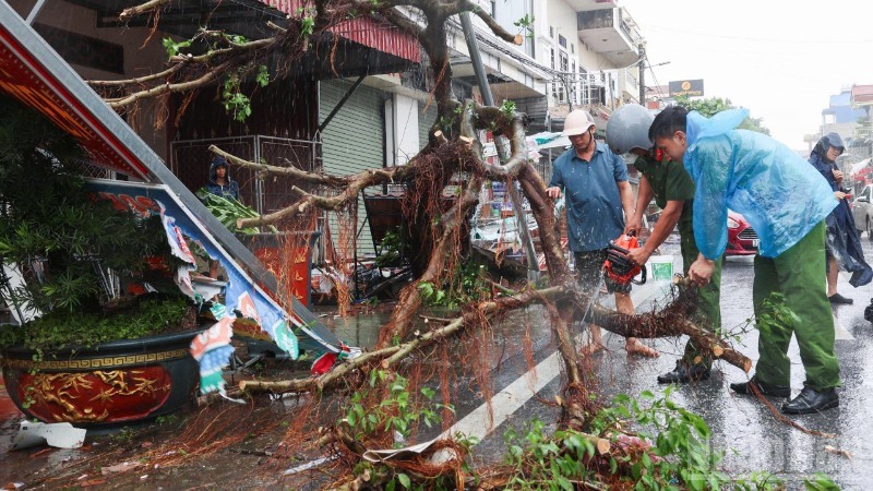 Bão số 10 kèm mưa lớn, sạt lở, giông lốc đã gây hậu quả nghiêm trọng tại nhiều tỉnh, thành phố từ miền núi phía bắc đến miền trung.