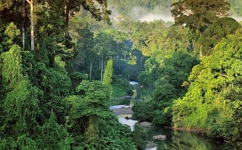 hon 33 nghin ho gia dinh ca nhan o nghe an huong loi tu nguon thu cua erpa