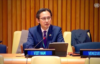 viet nam keu goi quoc te nghiem tuc thuc thi luat phap quoc te