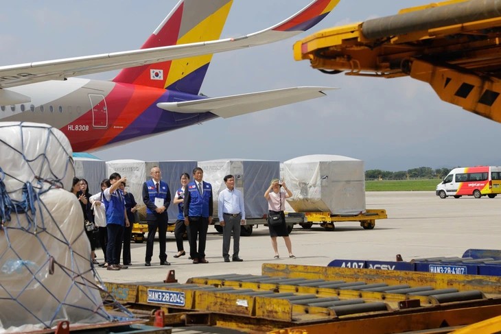 Hàng viện trợ được dỡ xuống từ máy bay tại sân bay Nội Bài - Ảnh: JICA