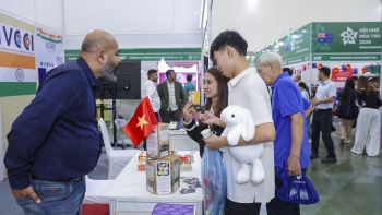 sac mau nam chau giua long hoi cho mua thu