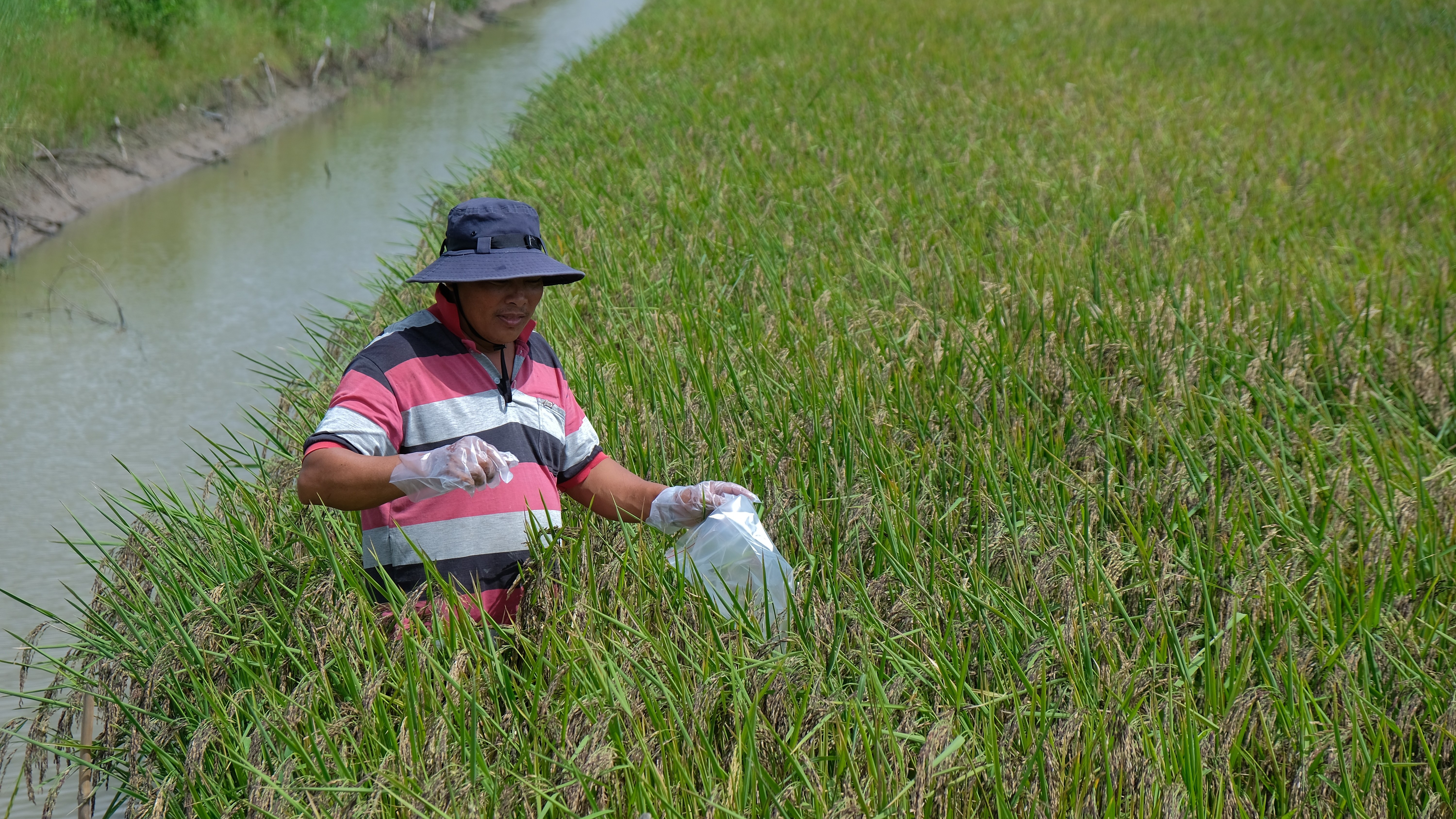 WVIV và Australia giúp nông dân Mekong thích ứng biến đổi khí hậu