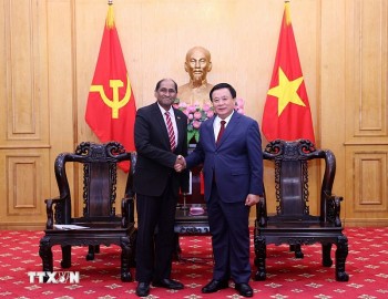 viet nam tang cuong hop tac dao tao boi duong can bo voi singapore va ireland