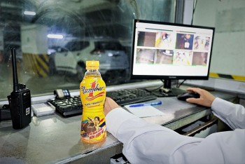 Những đêm dài bền bỉ và nguồn năng lượng tiếp sức người bảo vệ theo đuổi ước mơ