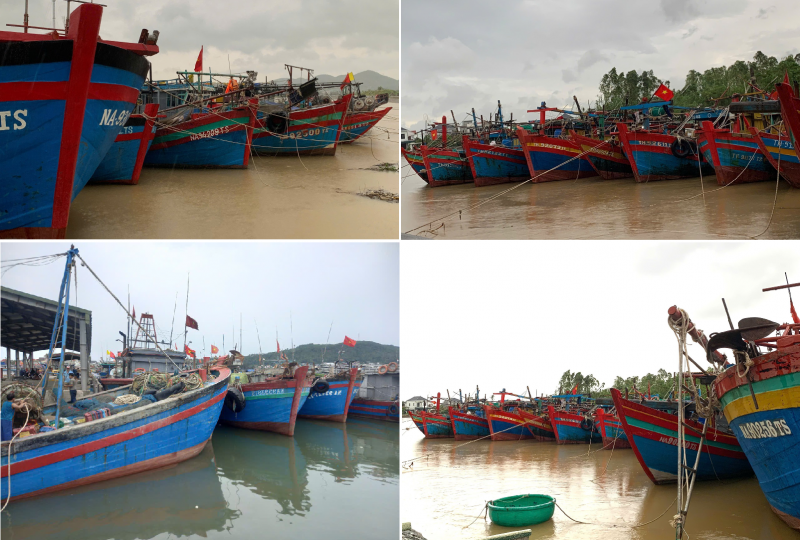 Nghệ An cấp tốc triển khai hành động tháng cao điểm chống khai thác IUU Nghệ An cấp tốc triển khai hành động tháng cao điểm chống khai thác IUU