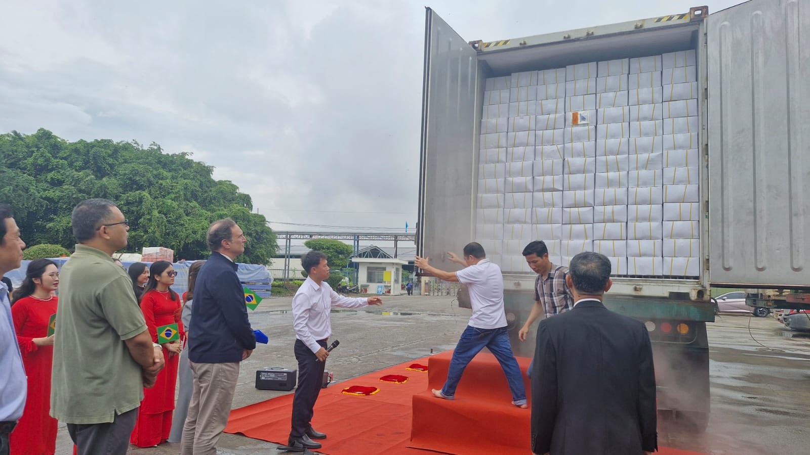 Việt Nam xuất khẩu lô hàng 700 tấn cá rô phi đầu tiên sang Brazil Việt Nam xuất khẩu lô hàng 700 tấn cá rô phi đầu tiên sang Brazil