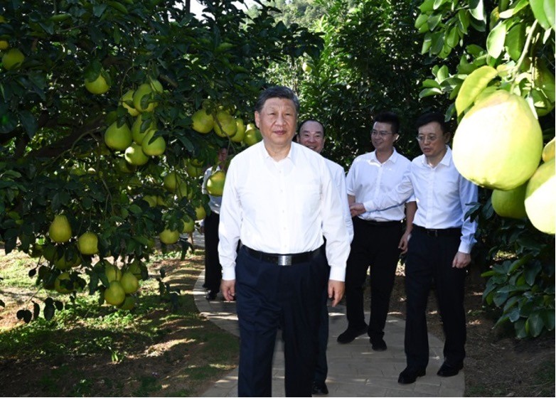 Tổng Bí thư Trung Quốc Tập Cận Bình khảo sát tại tỉnh Hải Nam và Quảng Đông