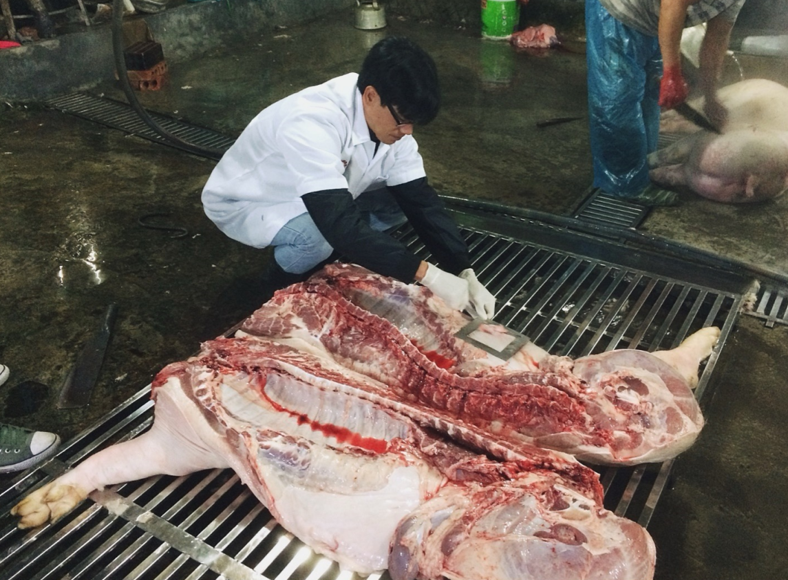 Đóng góp của ILRI tại Việt Nam Đóng góp của ILRI tại Việt Nam