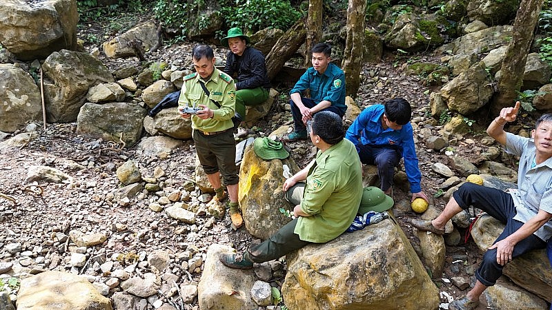 Điện Biên chủ động phòng chống cháy rừng, bảo vệ hơn 592 nghìn ha đất lâm nghiệp