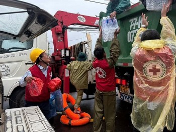 Chính phủ hỗ trợ khẩn cấp 700 tỷ đồng cho 4 tỉnh Khánh Hòa, Lâm Đồng, Gia Lai và Đắk Lắk