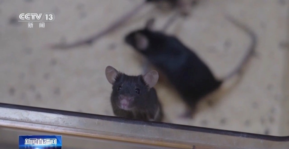 Tiết lộ tỷ lệ tuyển chọn Tiết lộ tỷ lệ tuyển chọn