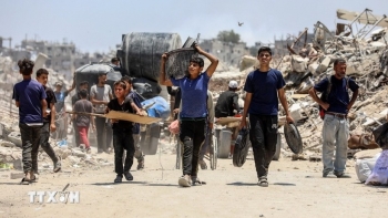 Điện của Chủ tịch nước nhân Ngày quốc tế đoàn kết với nhân dân Palestine