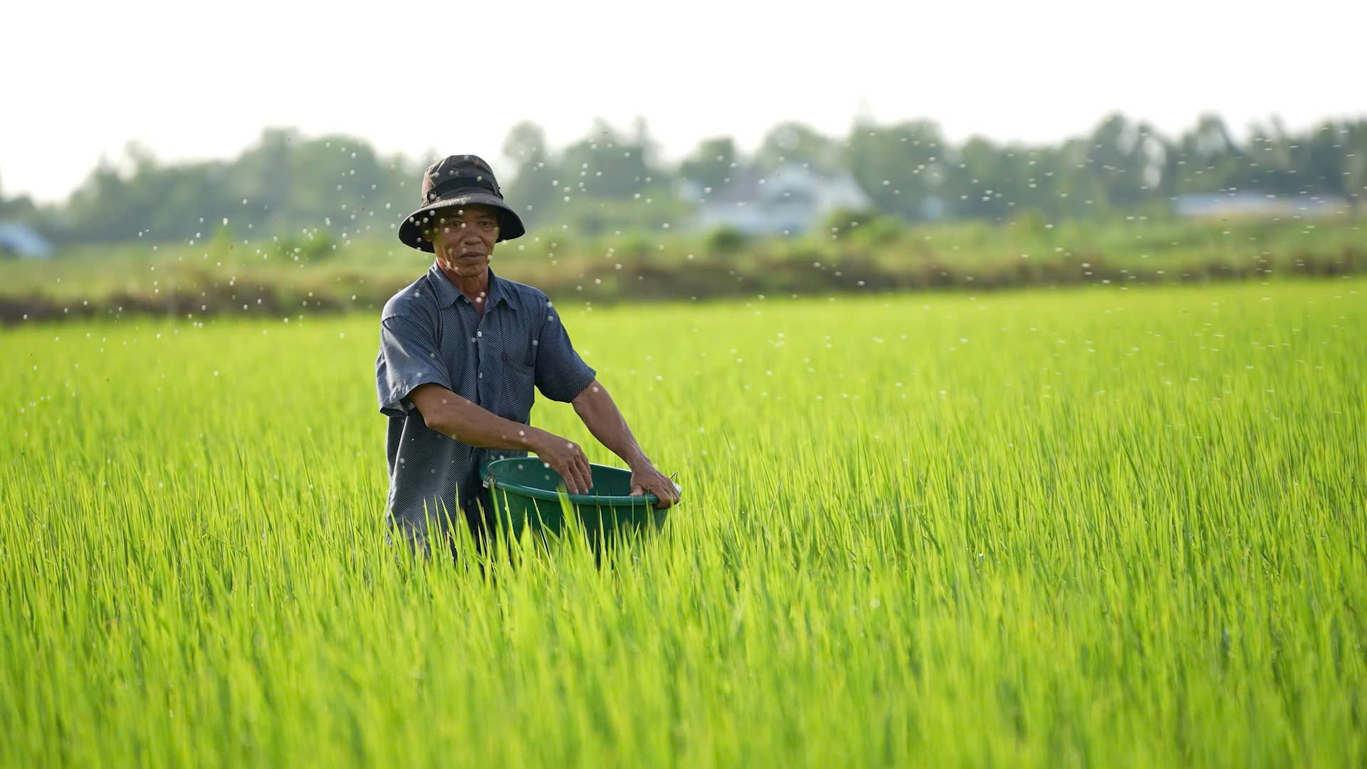 Oxfam hỗ trợ các dự án sản xuất lúa bền vững, giảm phát thải, thích ứng biến đổi khí hậu Oxfam hỗ trợ các dự án sản xuất lúa bền vững, giảm phát thải, thích ứng biến đổi khí hậu