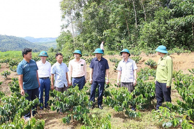 Búng Lao khởi sắc từ việc triển khai đồng bộ các chính sách dân tộc