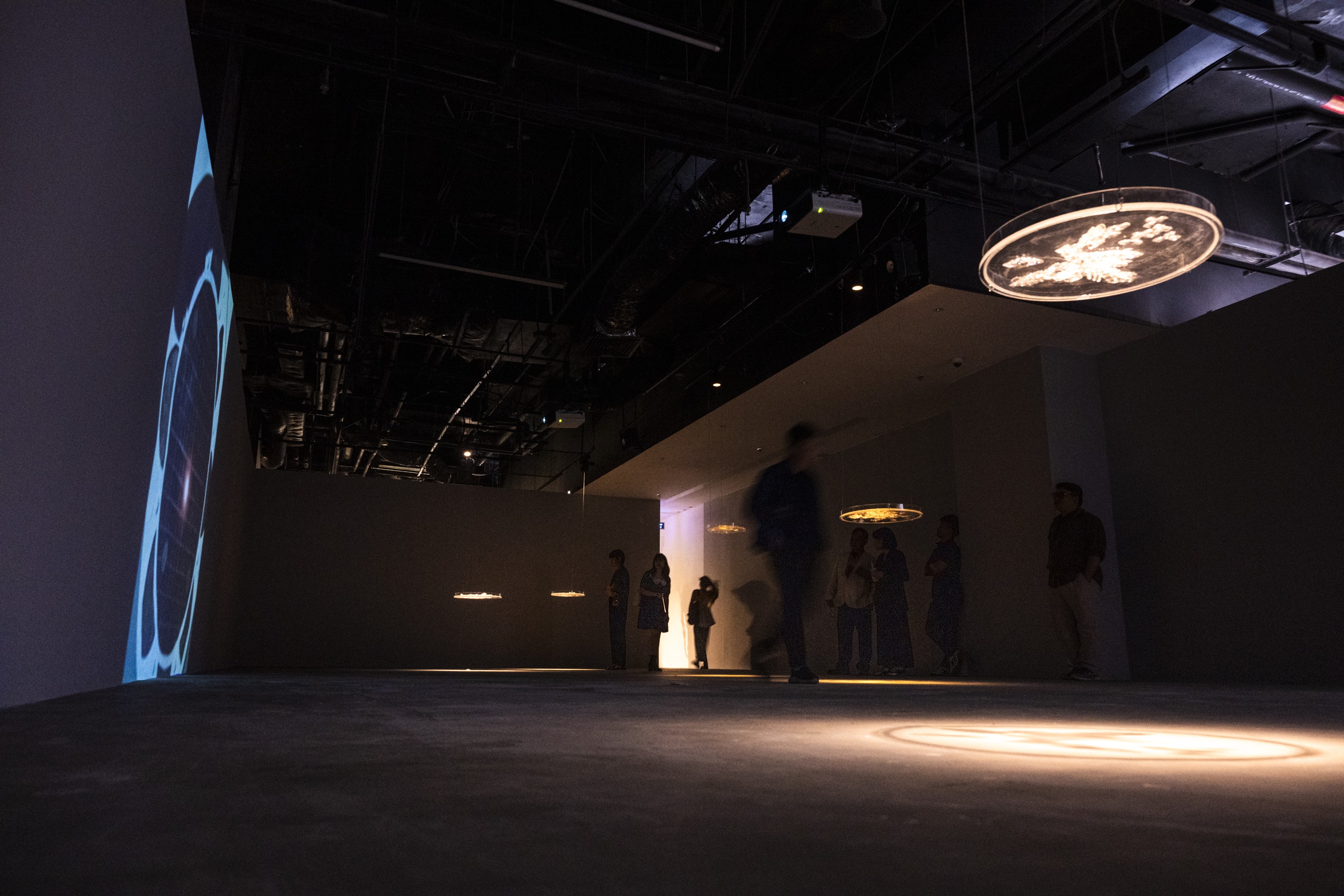 Triển lãm “Tỏa V – Điểm Chạm Khoa Học”: Cuộc đối thoại giữa nghệ thuật và trí tuệ nhân loại