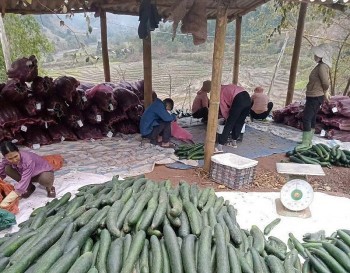 phat trien nong nghiep ben vung chia khoa giam ngheo o xa muong cha