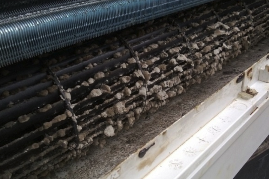 Đón Tết an toàn hơn nhờ vệ sinh máy lạnh đúng cách Đón Tết an toàn hơn nhờ vệ sinh máy lạnh đúng cách