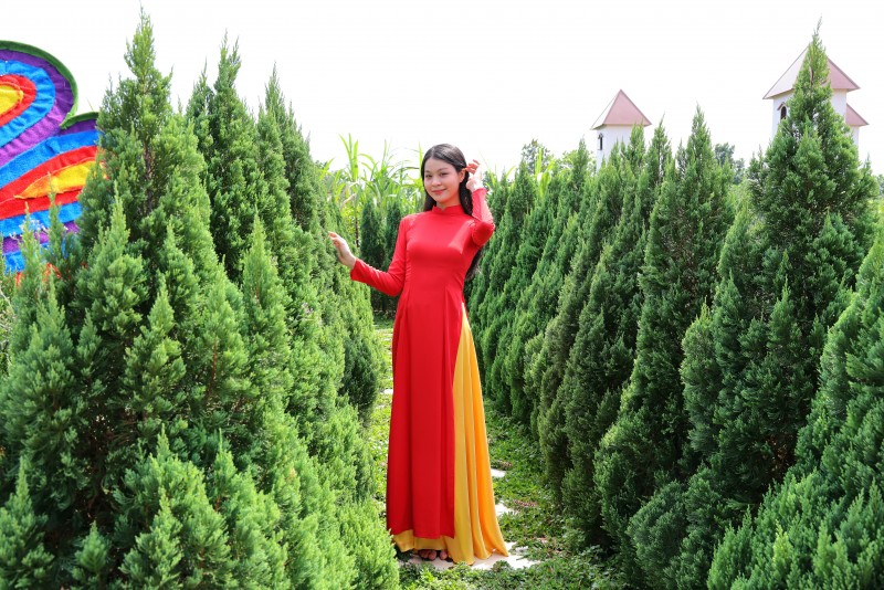 Festival Hoa - Kiểng Sa Đéc 2025: “Sắc hoa ngày mới” rực rỡ cuối năm