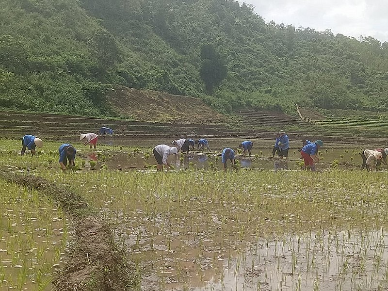 Mường Toong bừng sáng từ những bước chân đầu tiên Mường Toong bừng sáng từ những bước chân đầu tiên