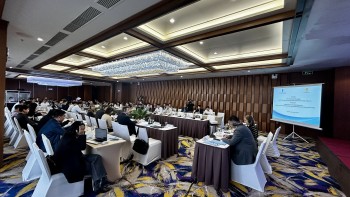 thuc day thuc thi cong uoc chong tra tan qua gioi thieu nguyen tac mendez trong dieu tra thu thap thong tin