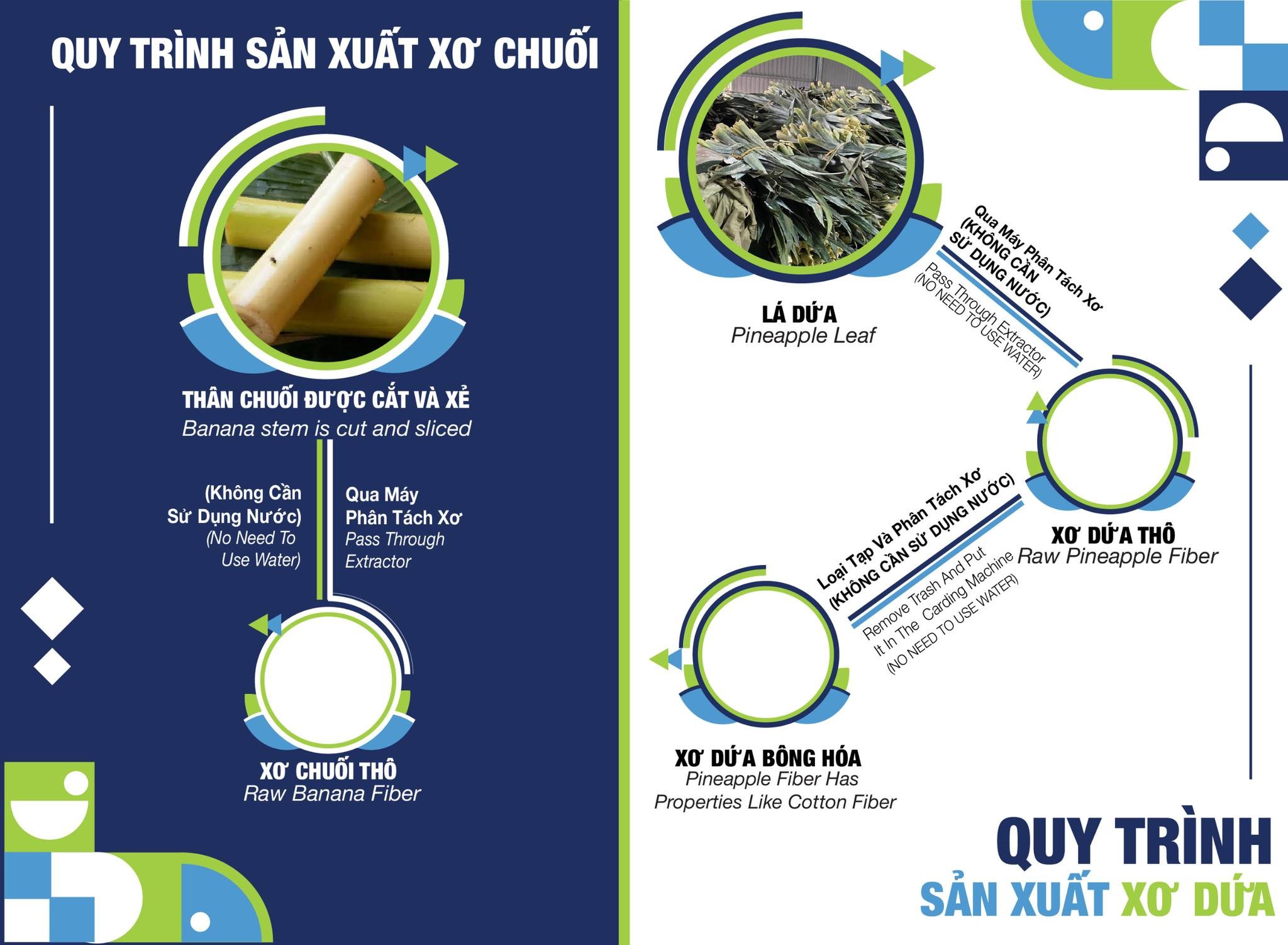 Quy trình sản xuất xơ dứa thô, xơ dứa bông hóa và xơ chuối thô tại công ty Vietfiber Quy trình sản xuất xơ dứa thô, xơ dứa bông hóa và xơ chuối thô tại công ty Vietfiber