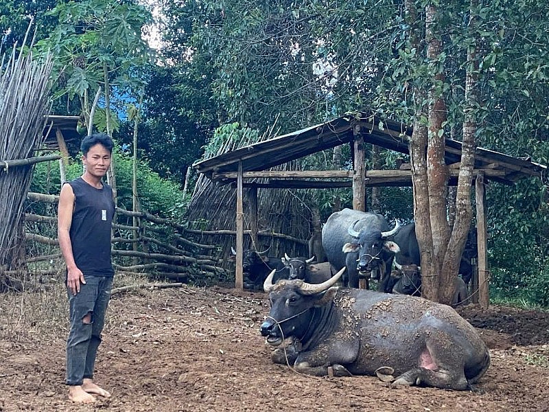 Thanh niên Mường Toong vươn lên thoát nghèo nhờ truyền thông cơ sở